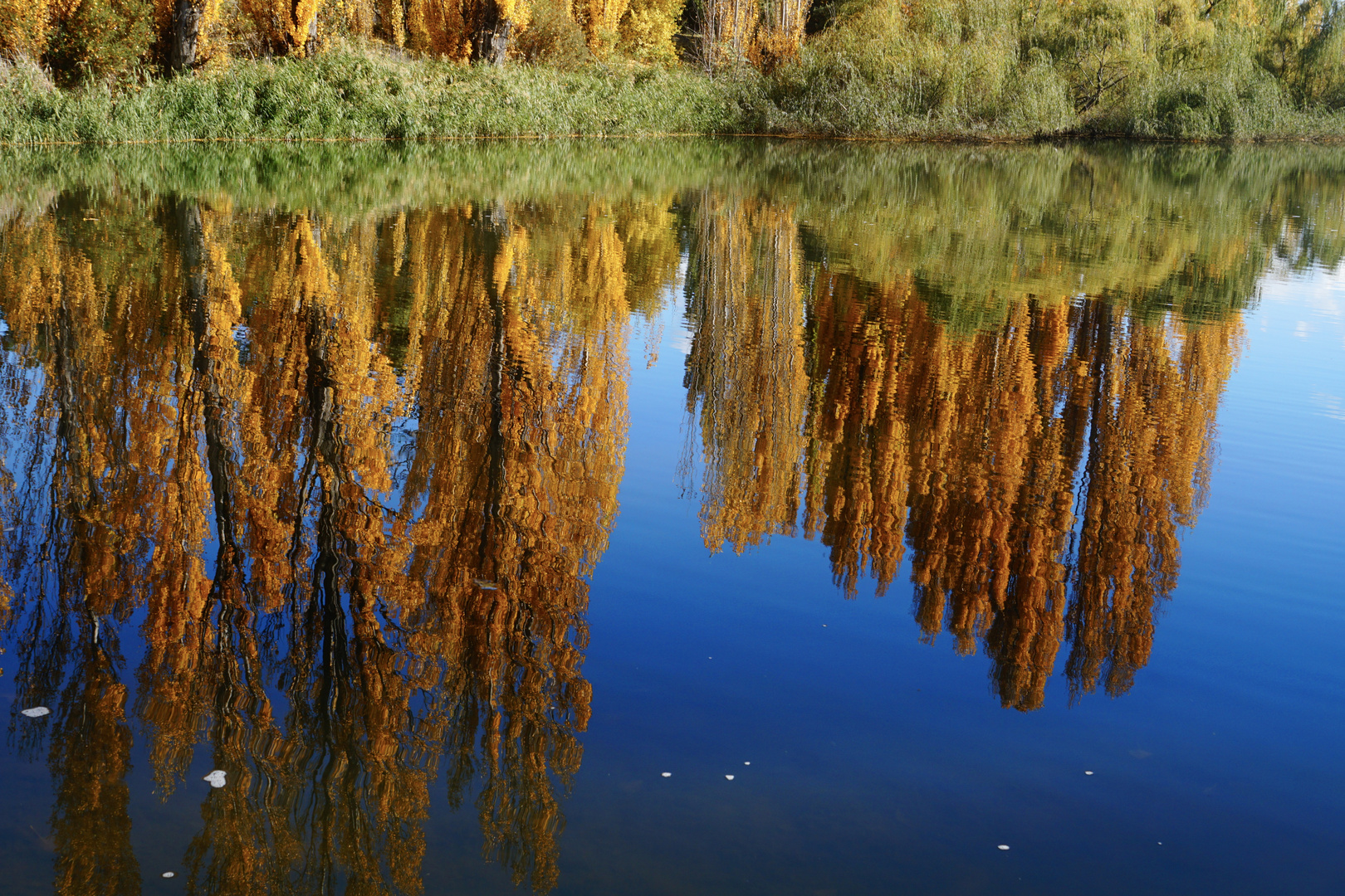 Herbst im Spiegel 