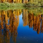 Herbst im Spiegel 