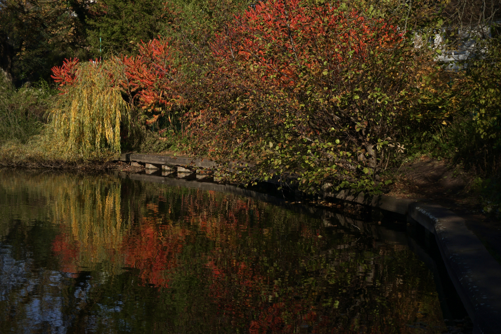 Herbst im Spiegel