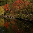 Herbst im Spiegel