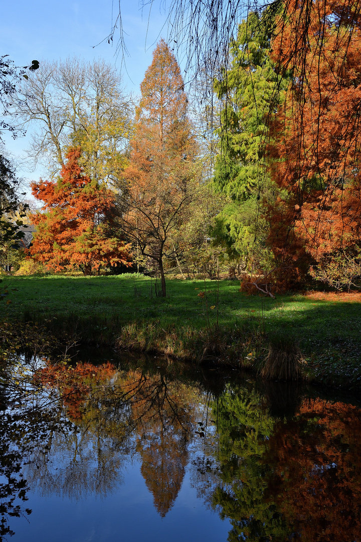 Herbst im Spiegel