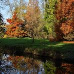 Herbst im Spiegel