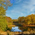 Herbst im Spiegel