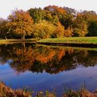 Herbst im Spiegel