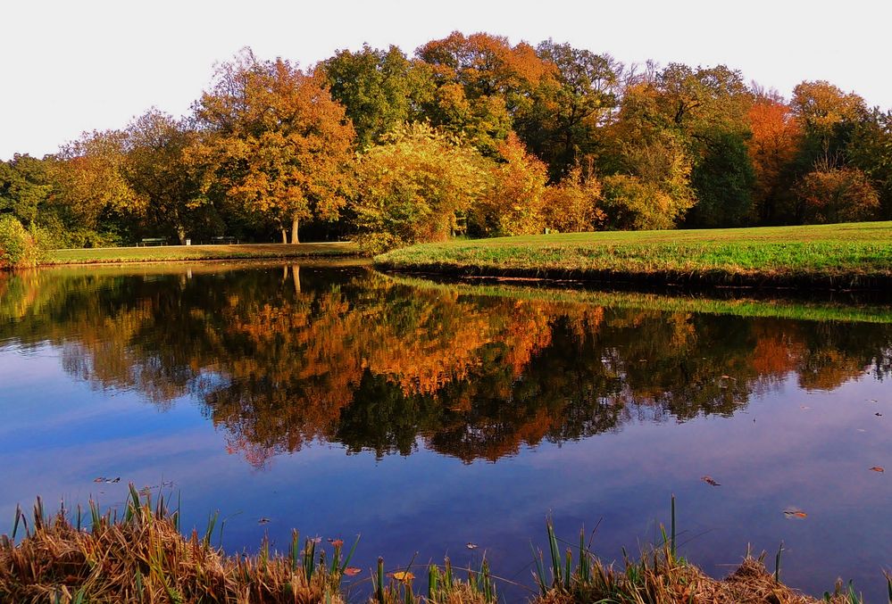 Herbst im Spiegel