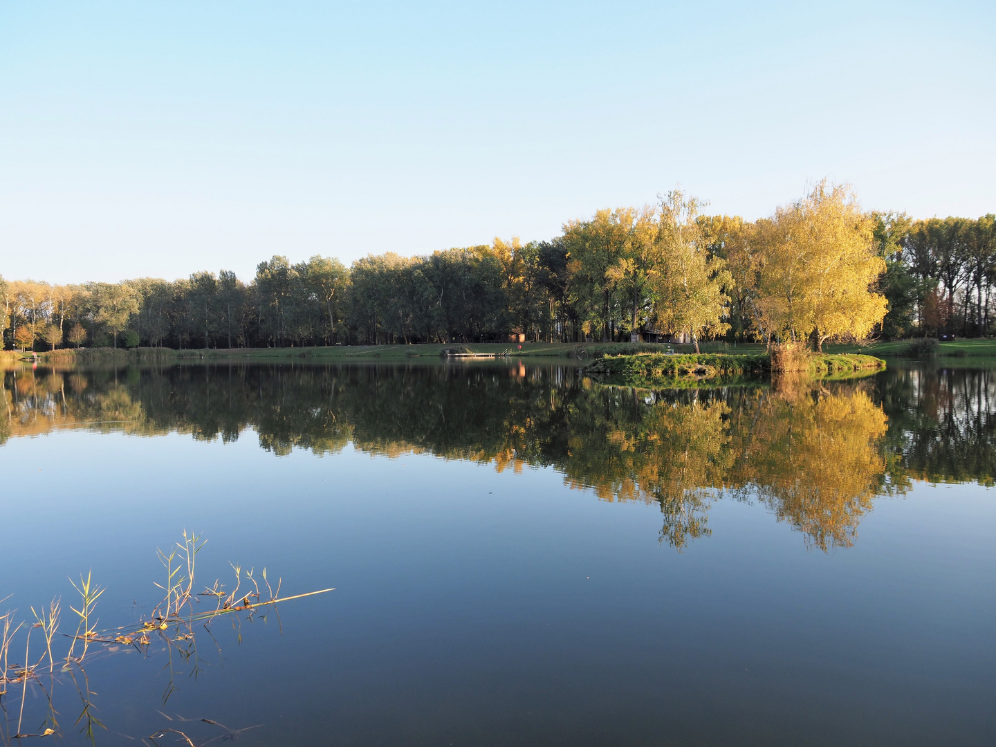 Herbst im Spiegel