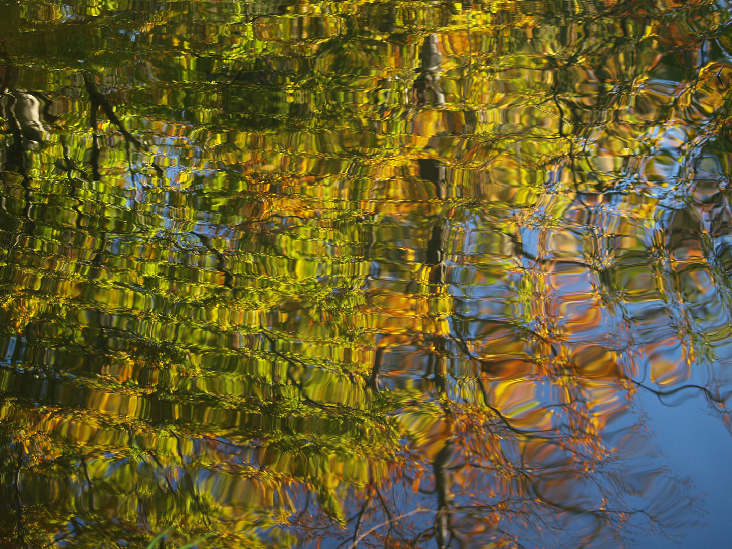 Herbst im Spiegel