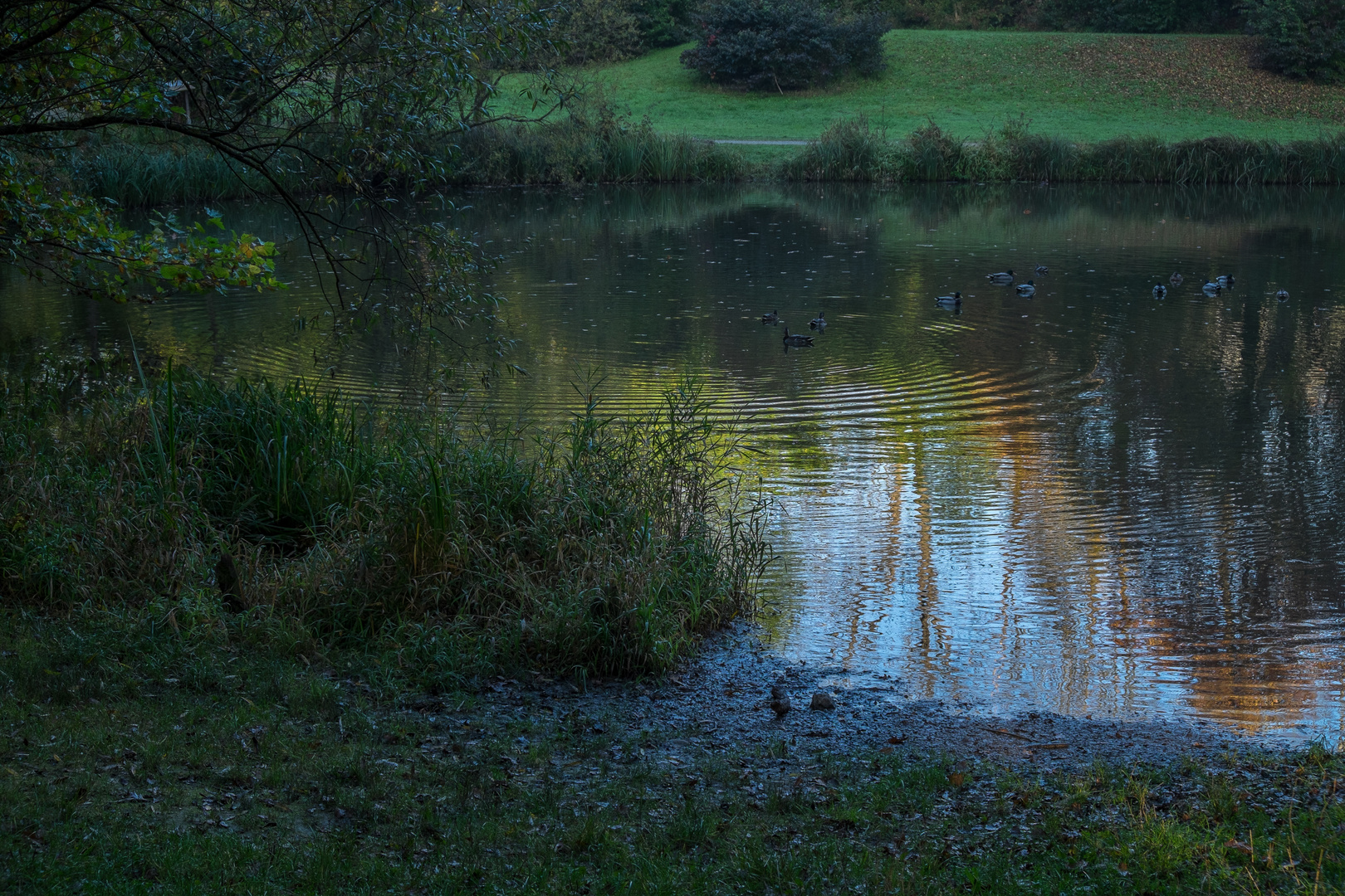 Herbst im Spiegel