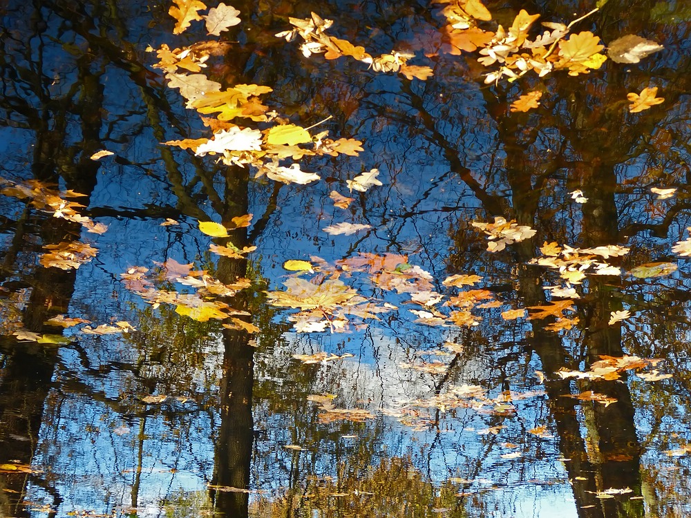 Herbst im Spiegel