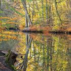 Herbst im Spiegel