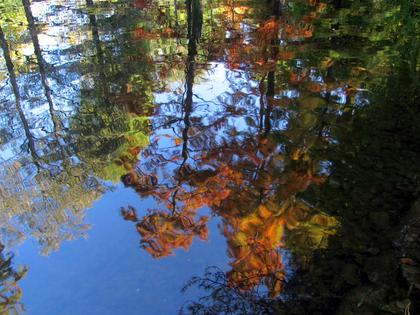 Herbst im Spiegel