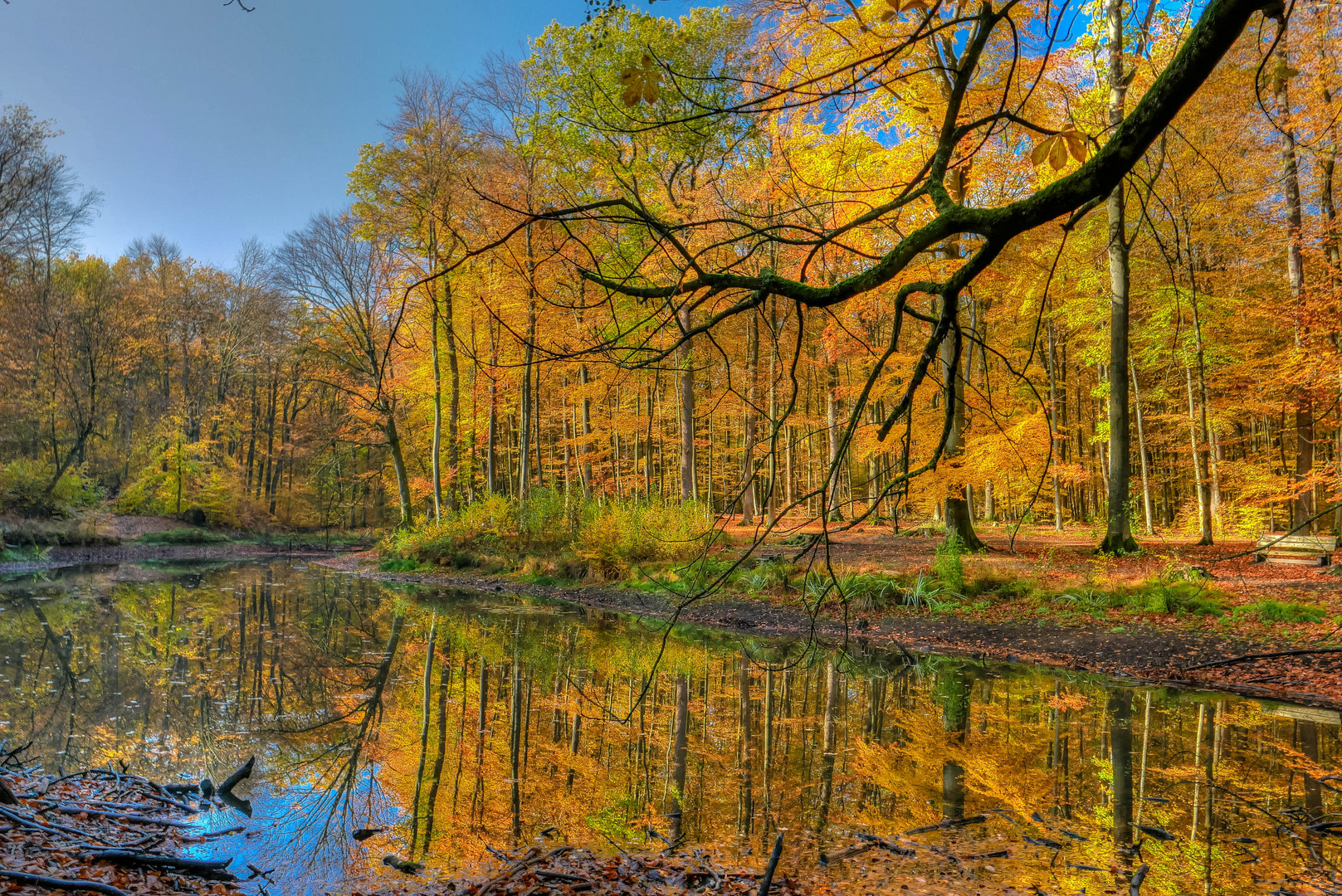 Herbst im Spiegel