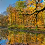 Herbst im Spiegel