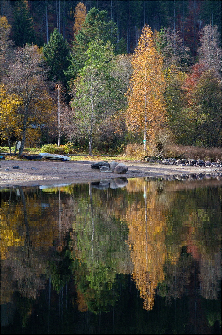 Herbst im Spiegel