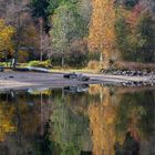 Herbst im Spiegel