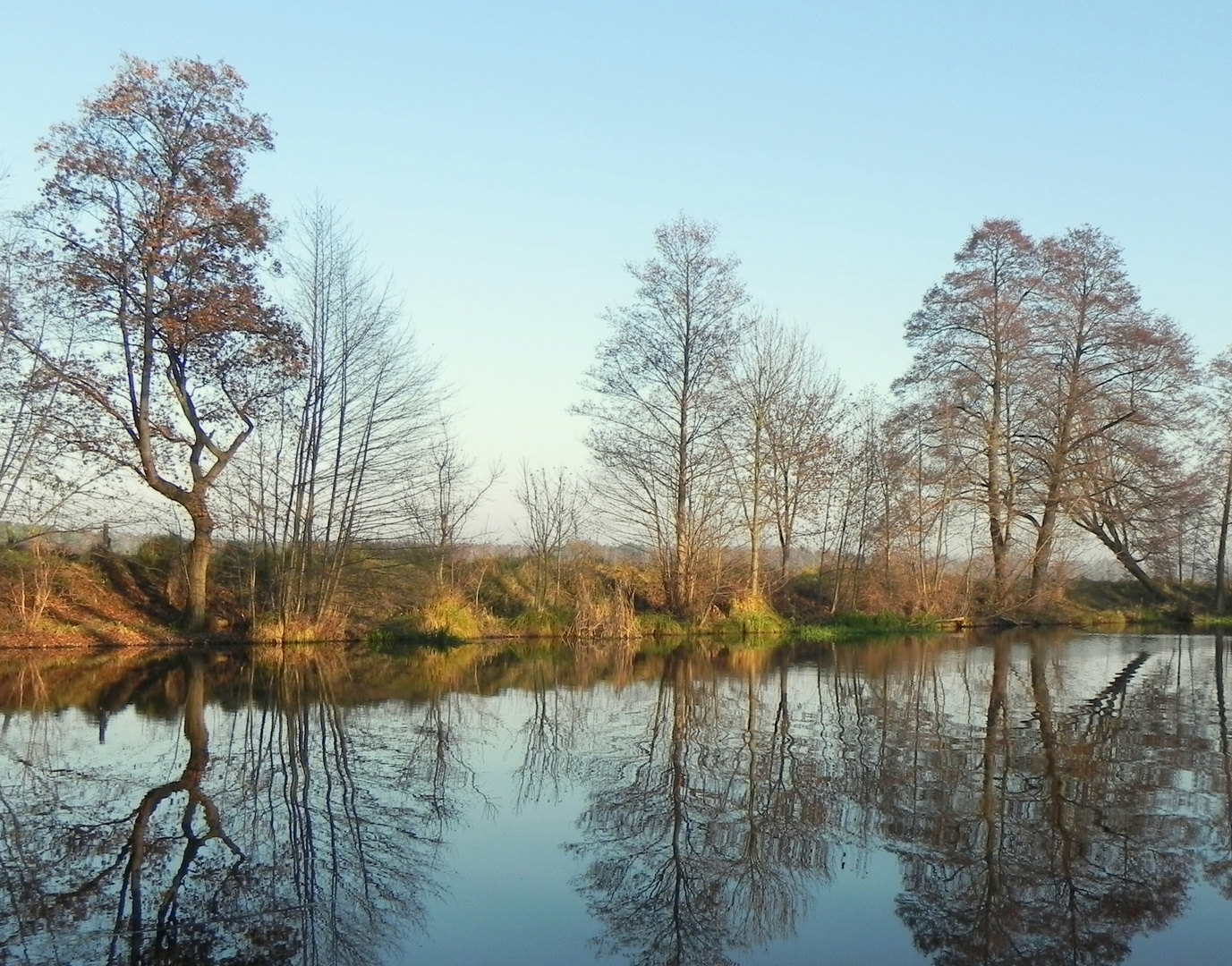 Herbst im Spiegel