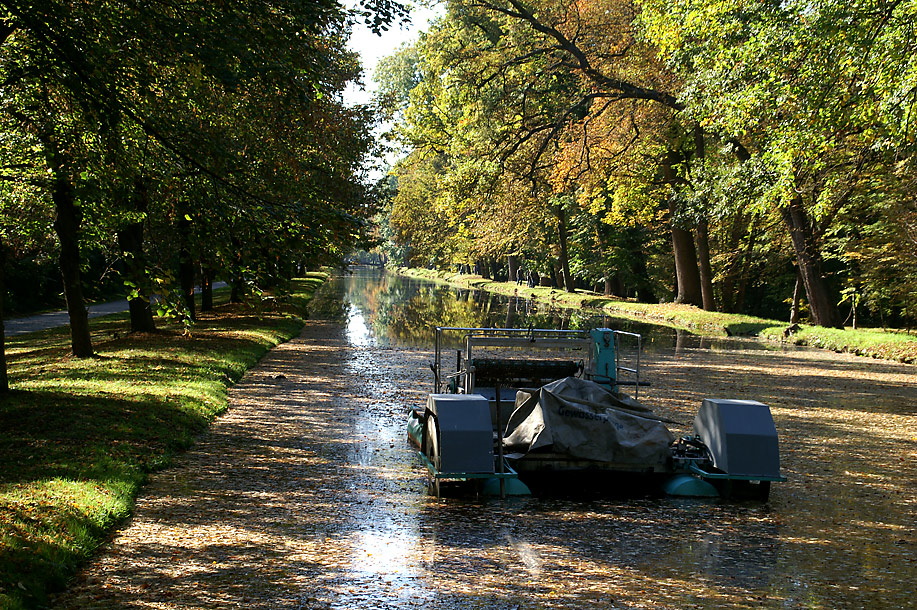 Herbst im Spiegel IV