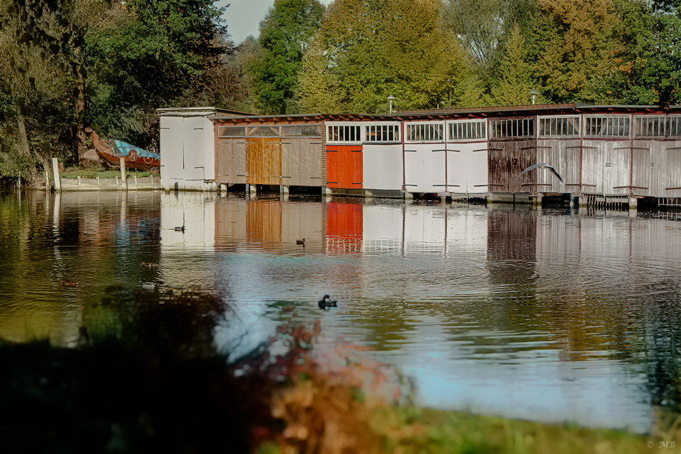 Herbst im Spiegelbild