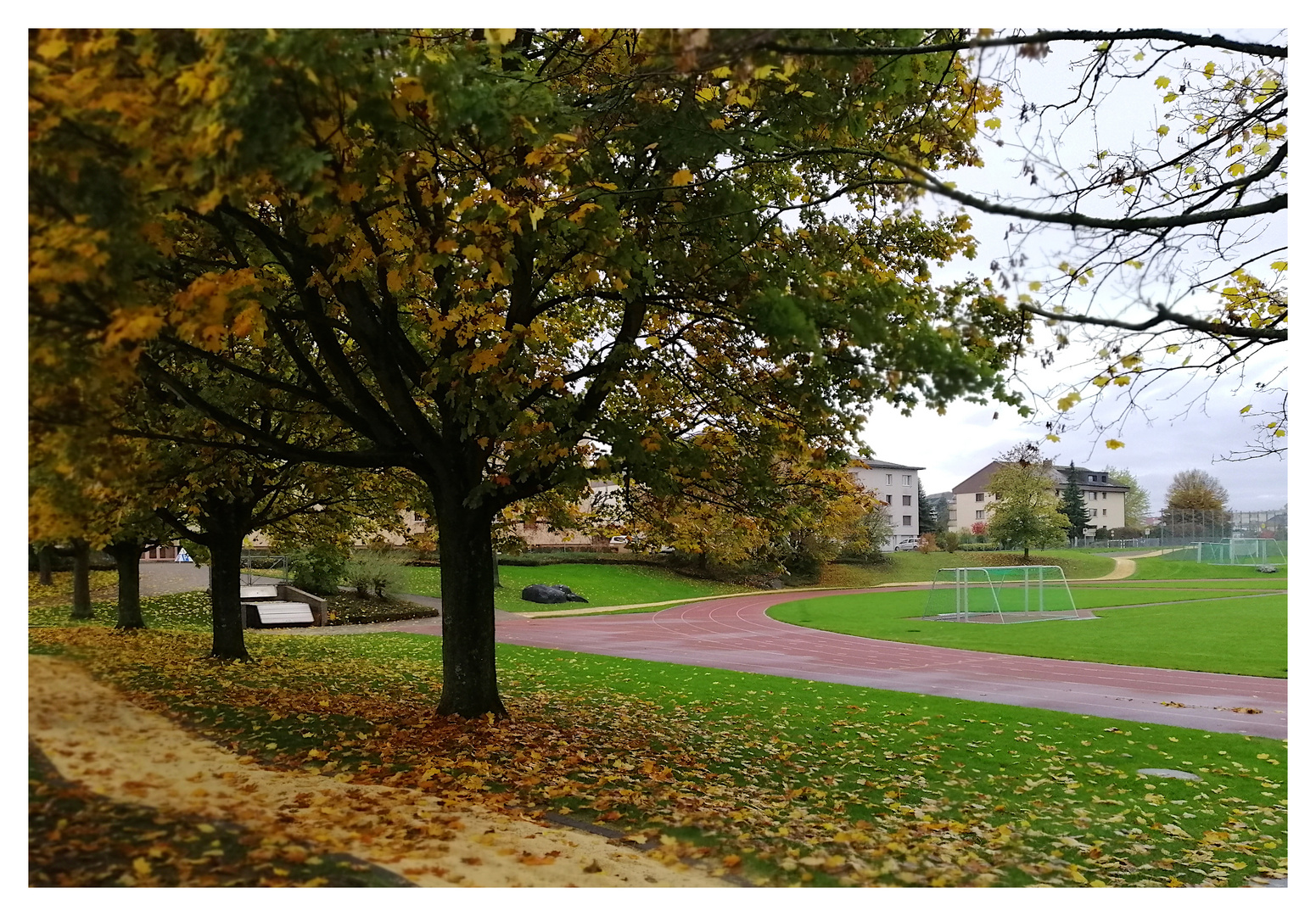 Herbst im Sportgelände