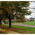 Herbst im Sportgelände