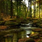 Herbst im Spreepark