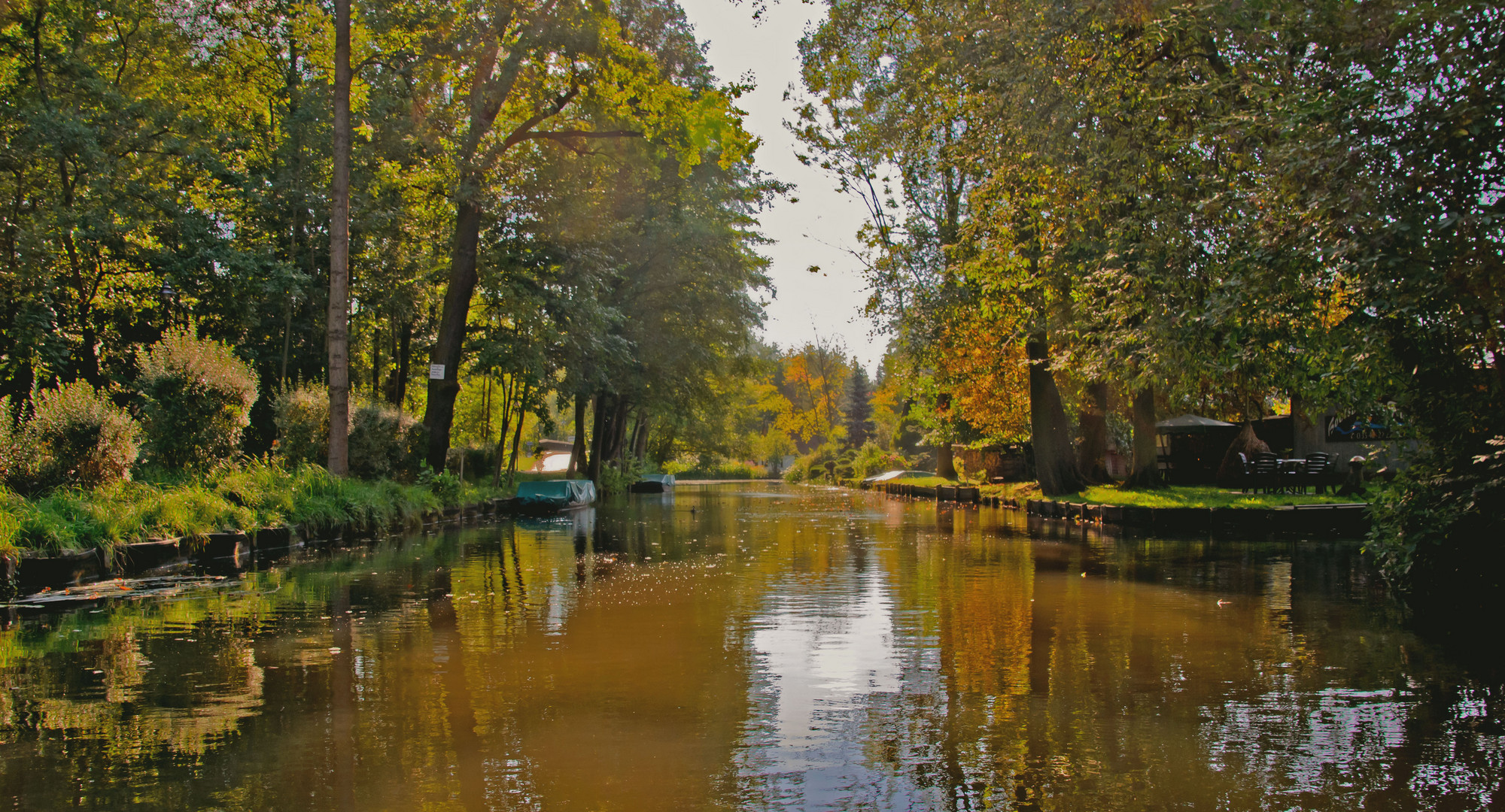 Herbst im Spreewald (1)