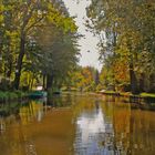 Herbst im Spreewald (1)