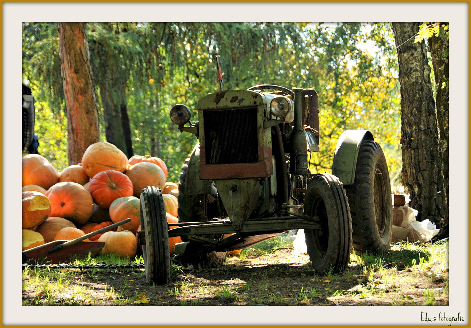 Herbst im Spreewald