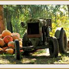 Herbst im Spreewald