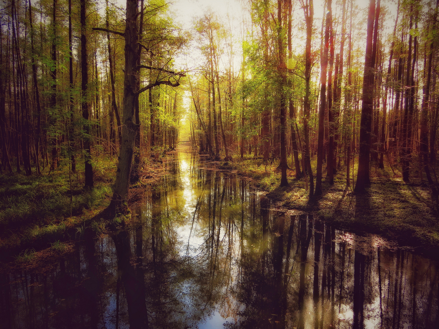 Herbst im Spreewald