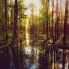 Herbst im Spreewald