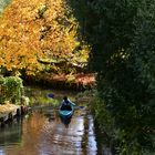 Herbst im Spreewald