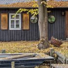 Herbst im Spreewald