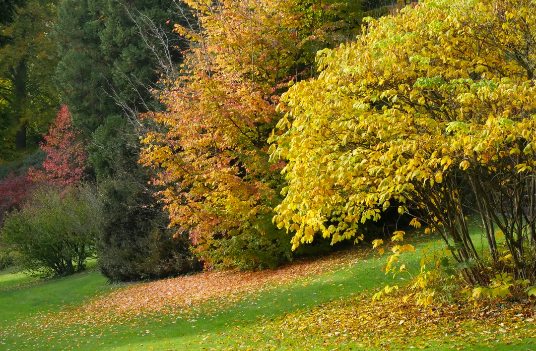 Herbst im Stadtgarten