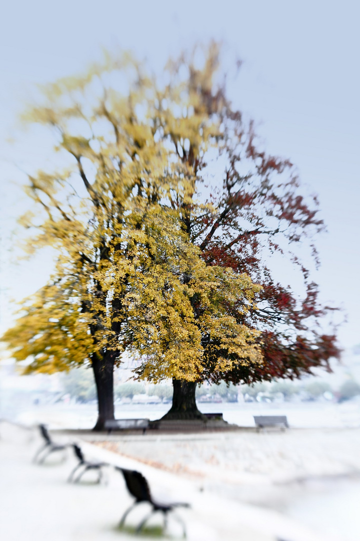 Herbst im Stadtgarten