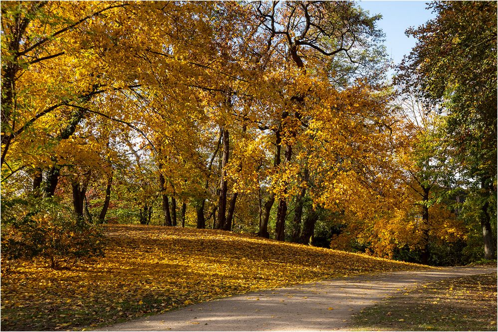 Herbst im Stadtgarten