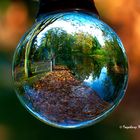 Herbst im Stadtgarten Neuss - ein Sonnenplatz am Teich