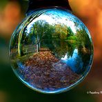 Herbst im Stadtgarten Neuss - ein Sonnenplatz am Teich