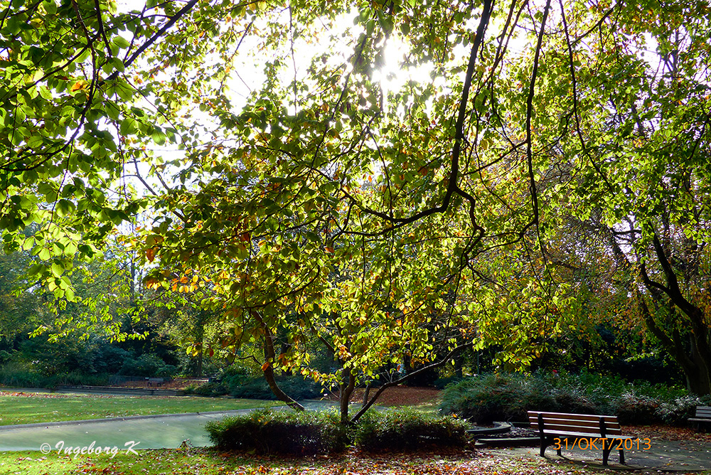 Herbst im Stadtgarten Neuss - ein Sonnenplatz zum Genießen