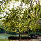 Herbst im Stadtgarten Neuss - ein Sonnenplatz zum Genießen