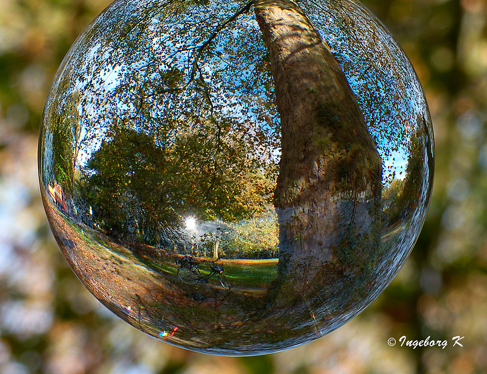 Herbst im Stadtgarten Neuss - einer der letzen Sonnentage?