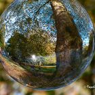 Herbst im Stadtgarten Neuss - einer der letzen Sonnentage?