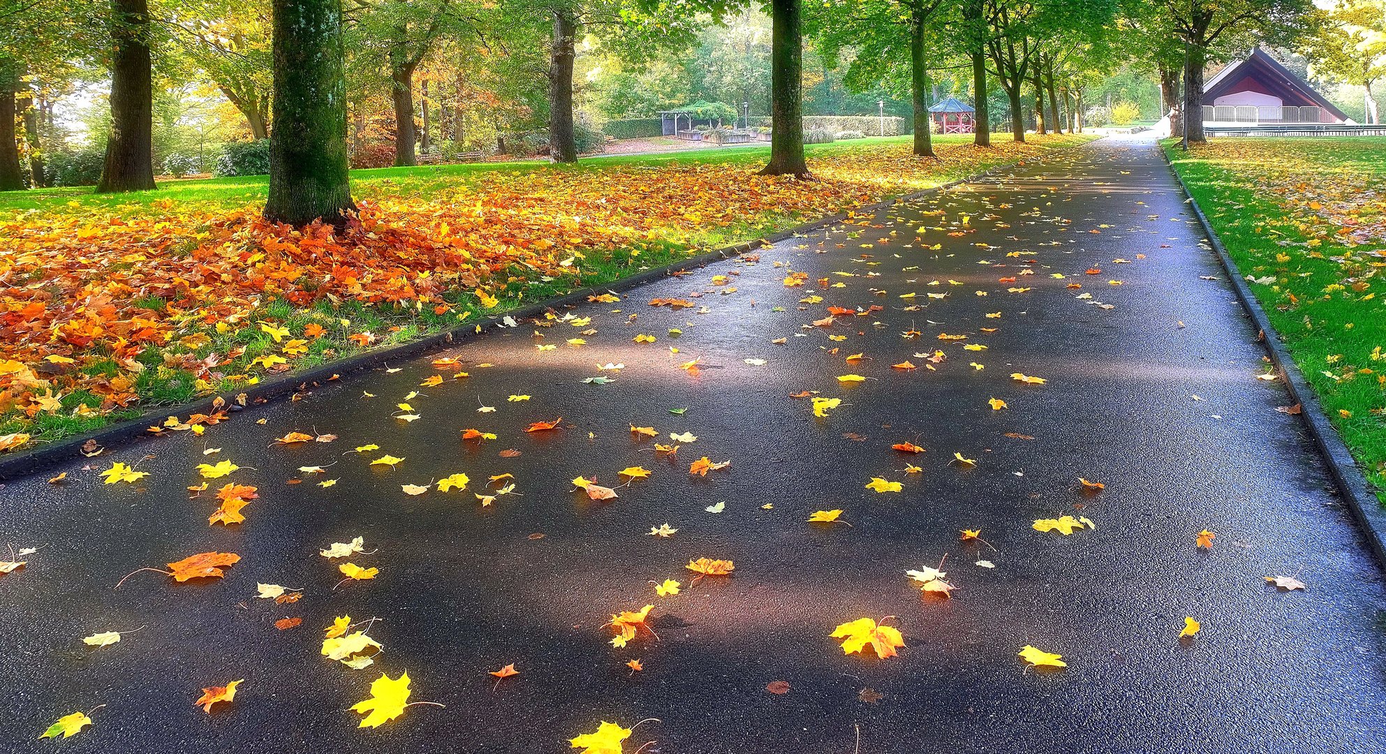 Herbst im Stadtpark-1-(24.11.2022)