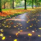 Herbst im Stadtpark-1-(24.11.2022)