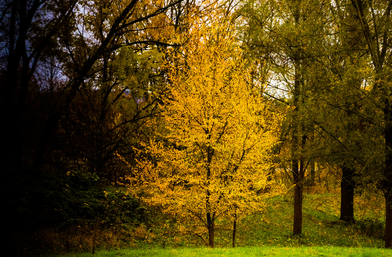 Herbst im Stadtpark -1 -