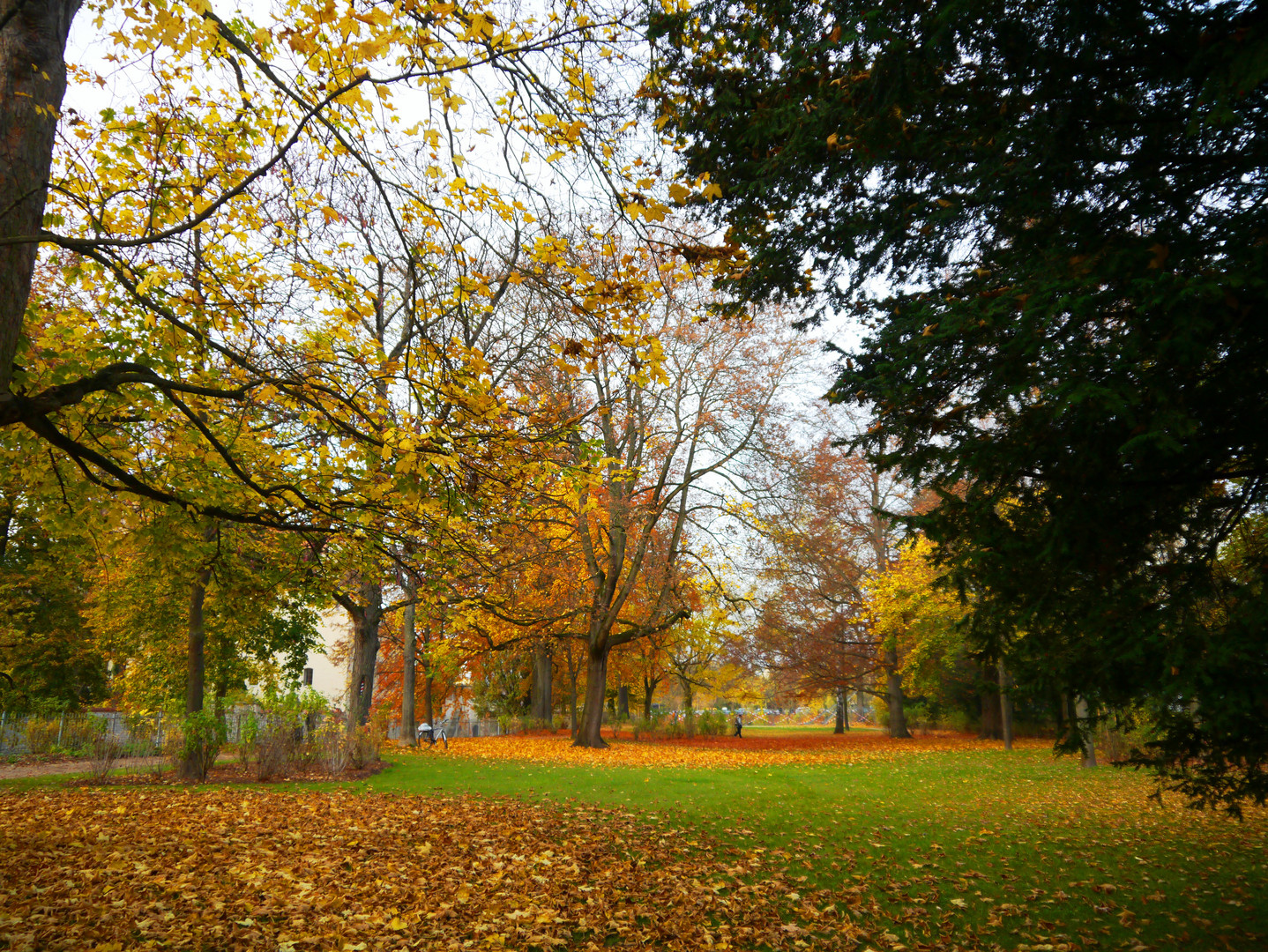 Herbst im Stadtpark