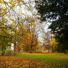 Herbst im Stadtpark