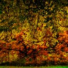 Herbst im Stadtpark -2 -