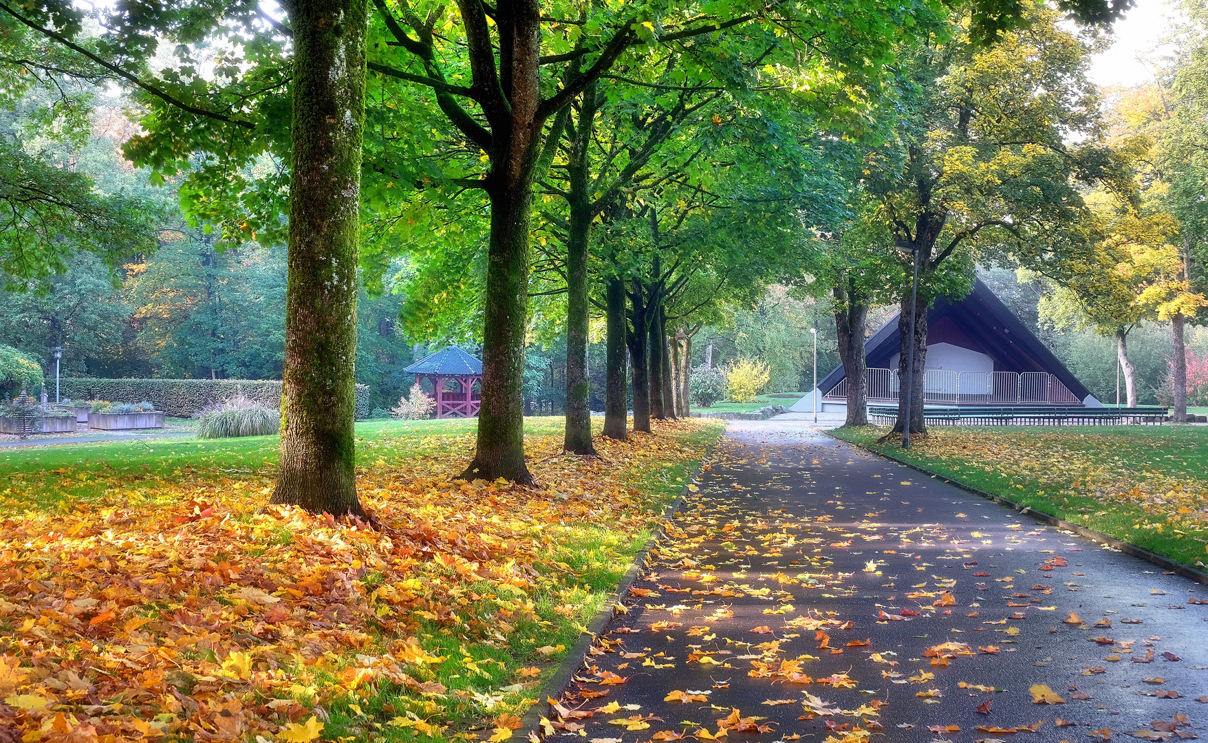 Herbst im Stadtpark-2(24.11.2022)