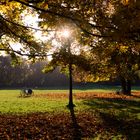 Herbst im Stadtpark